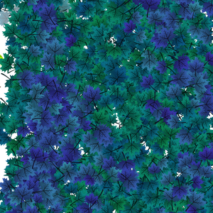 Fundraising Page: Ocelots Eat Fish